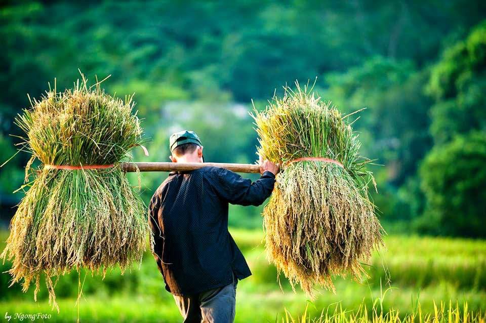 andrea_4520's tweet photo. Vietnam https://t.co/eZ0XndeU1H