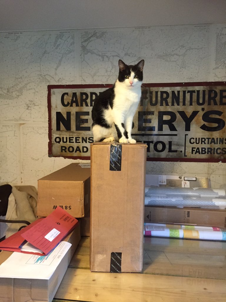 StanzaStyle's tweet image. So we know who is the boss in this company!