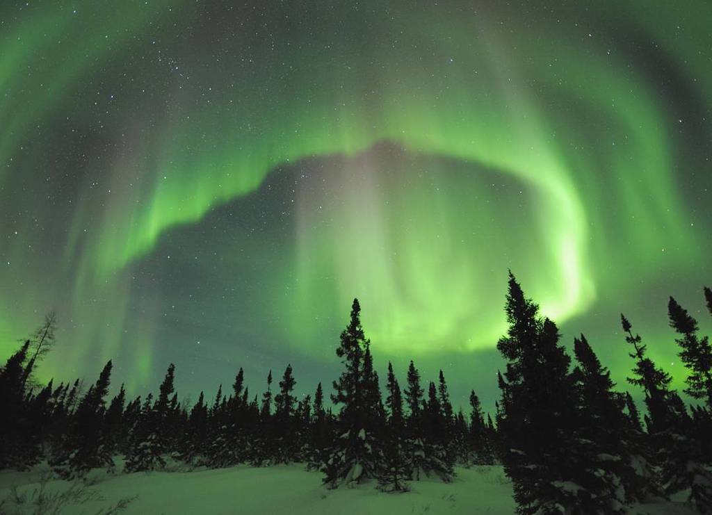 karoline_ross's tweet photo. Aurora Borealis in Manitoba

The Northern lights are speculated to fade or dim for a decade from the start of 2017.… https://t.co/K5RP5I4PL5