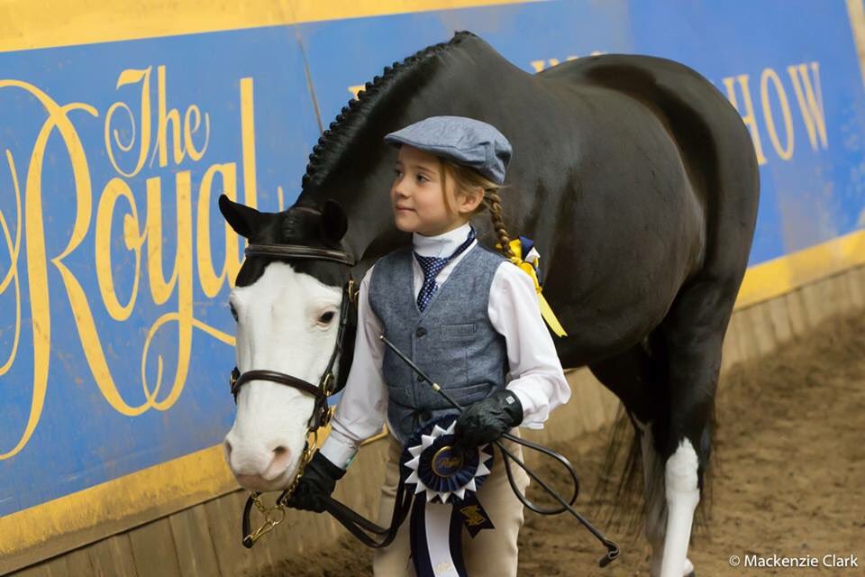 MyBarnChild's tweet photo. This precious & perfectly styled pony person is a student of @ANequestrian
🙌🙌🙌
PC: Mackenzie Clark #rawf2015 https://t.co/KJgPj7Dpjp