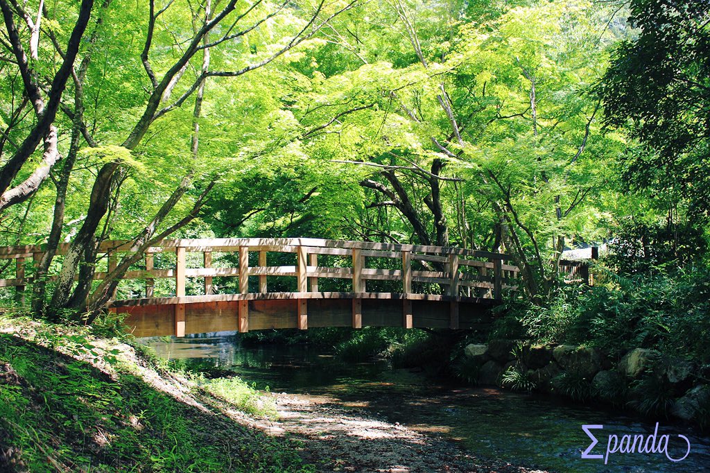 Pampooh1013's tweet image. ◎由布院◎ 個人的に結構好きな一枚です💭
＃ｐａｎｄａの写真館 
＃写真好きな人と繋がりたい 
＃写真撮ってる人と繋がりたい 
＃ファインダー越しの私の世界
＃少しでもいいなと思ったらRT 
＃カメラ女子 ＃一眼レフ ＃Canon