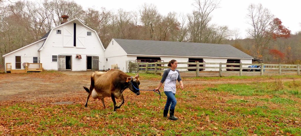 FarmerBrie's tweet photo. #iamamodernfarmer https://t.co/Ab4RB2Ezte