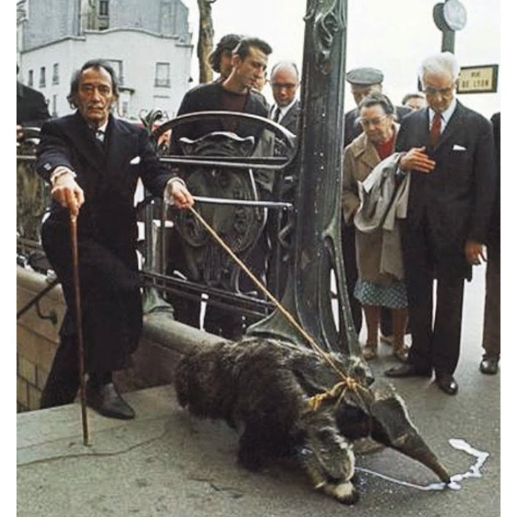 Katrina Hinrichsen tweet media