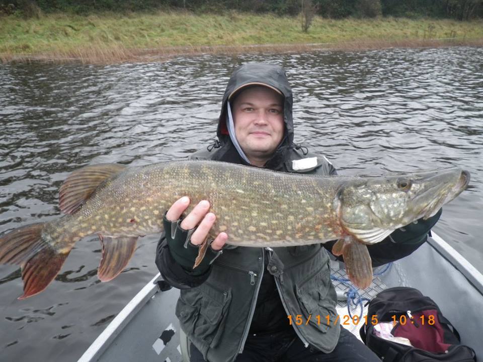 ncffi's tweet photo. Big predators for @Fishmaniakpl River Erne, Belturbet https://t.co/NcrxnsMoUI #catchandrelease #lures @ThisIsCavan https://t.co/8MSQyIbZCU