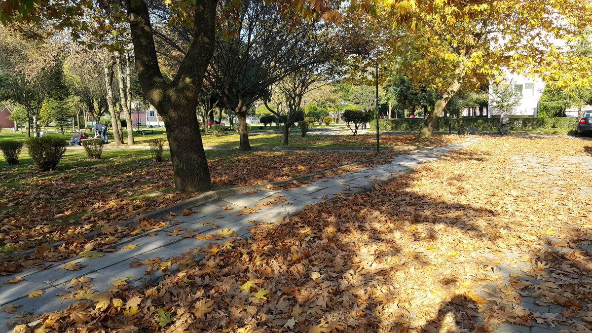 ErkanKiraz's tweet image. #Autumn2015, #ColorConversion, #RenkDongusu, #Sonbahar2015,  #Izmit, #Kocaeli, #Turkey II