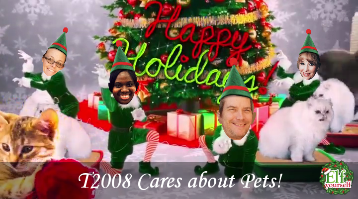 Get the app. elfyourself.com  #elfyourself