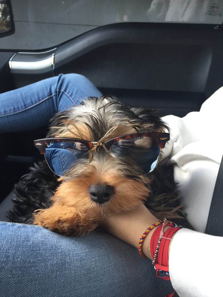 congomiami's tweet photo. I aint worried about yall doodoo heads #dukester https://t.co/3Gr2nPHvce