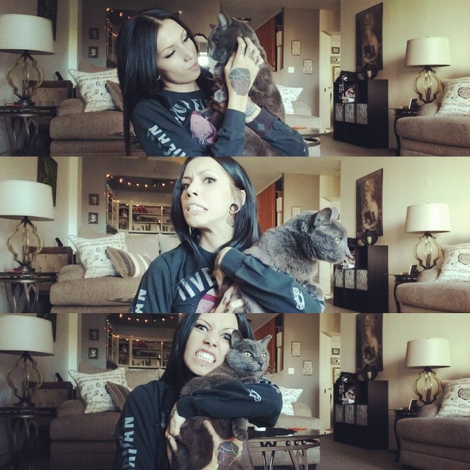 Looove.. #kitties https://t.co/fkKIPUGI8n<a href="/tag/kitties"class="tags">#kitties</a>