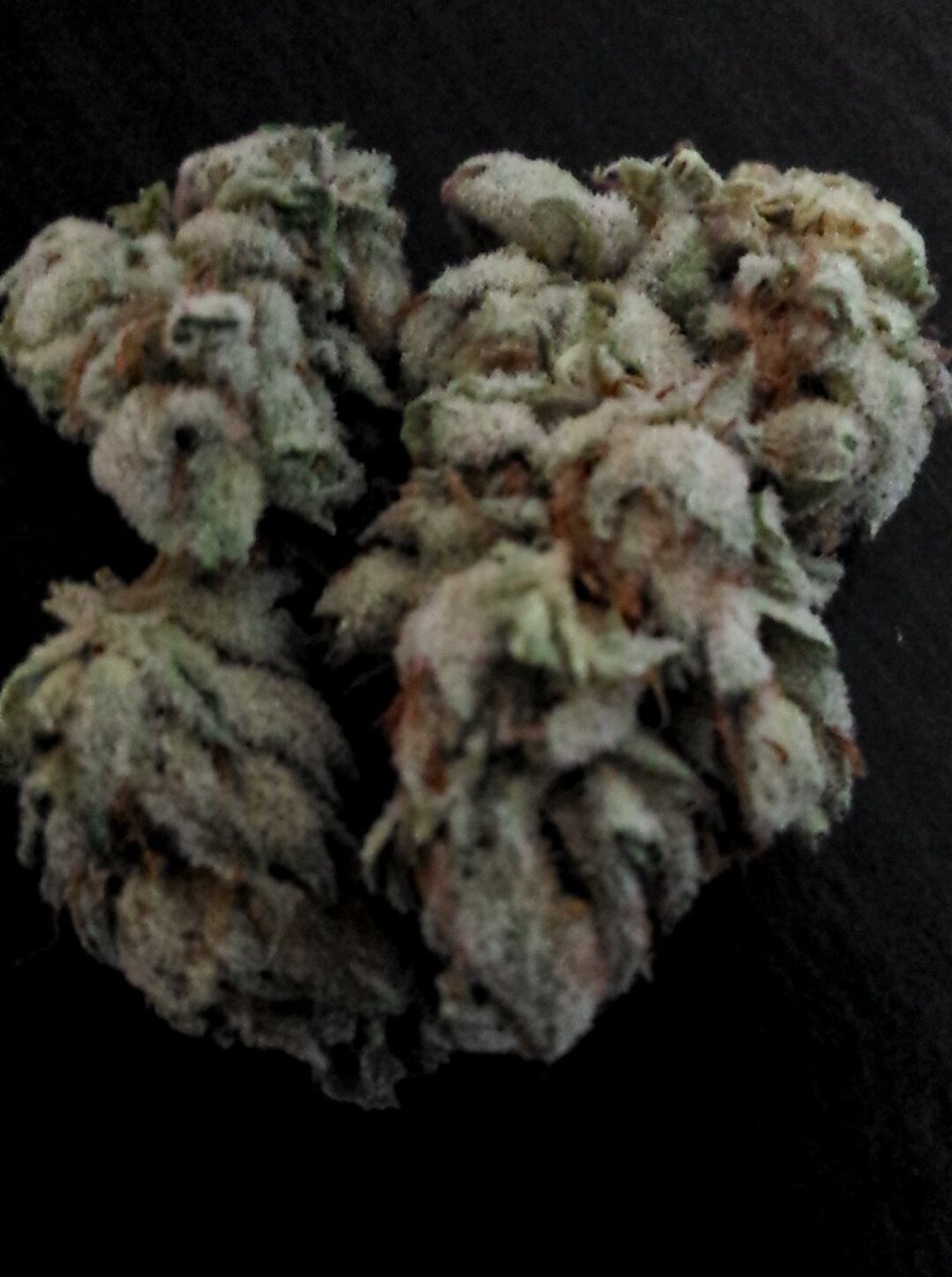 SabrinaNachor's tweet photo. #sourbubble #burn😤💨 @xo_neiva88xo https://t.co/DFMnn70UIV