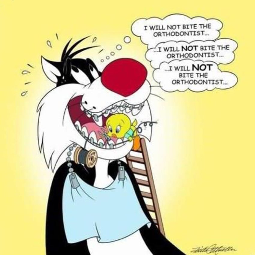 SunriseOrtho_PC's tweet photo. No biting your #Orthodontist! #LOL #OrthodonticsHumor https://t.co/OguPyrGIiN
