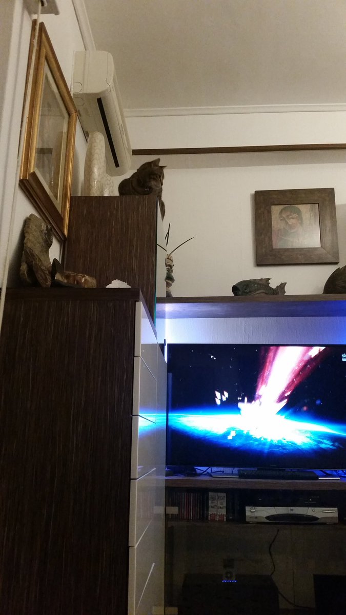 senzalaefinale's tweet photo. Soprammobili. #XF9 #nehoancheunoaddosso #catfactor https://t.co/LKNWRYChXi