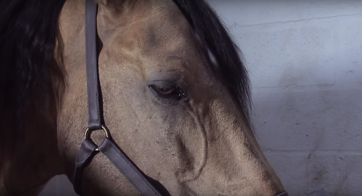 Nouvel Ecran tweet media