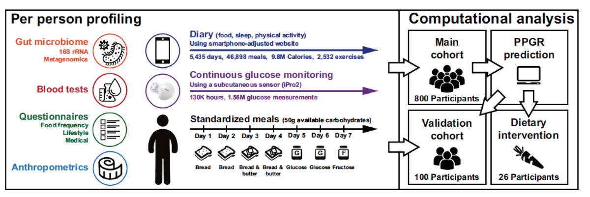 EricTopol's tweet photo. Personalized Nutrition https://t.co/GDjD13dJv4 a wowser of a study #microbiome #diabetes #indivmed @CellCellPress https://t.co/3wRotWkpq7
