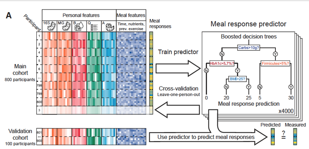 EricTopol's tweet photo. Personalized Nutrition https://t.co/GDjD13dJv4 a wowser of a study #microbiome #diabetes #indivmed @CellCellPress https://t.co/3wRotWkpq7
