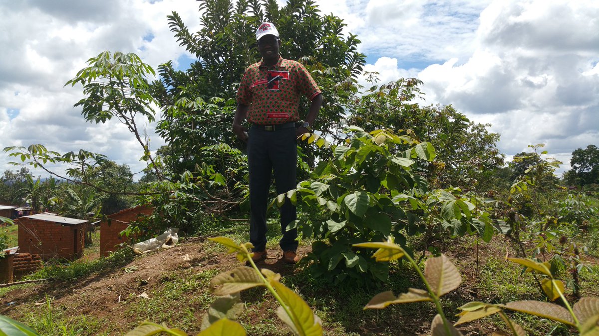 willynyamitwe's tweet photo. #Burundi : A #Ibuga, moment de revisiter les termitières qui servaient de remparts pour les combattants du @CnddFdd https://t.co/IvsXPt5doX