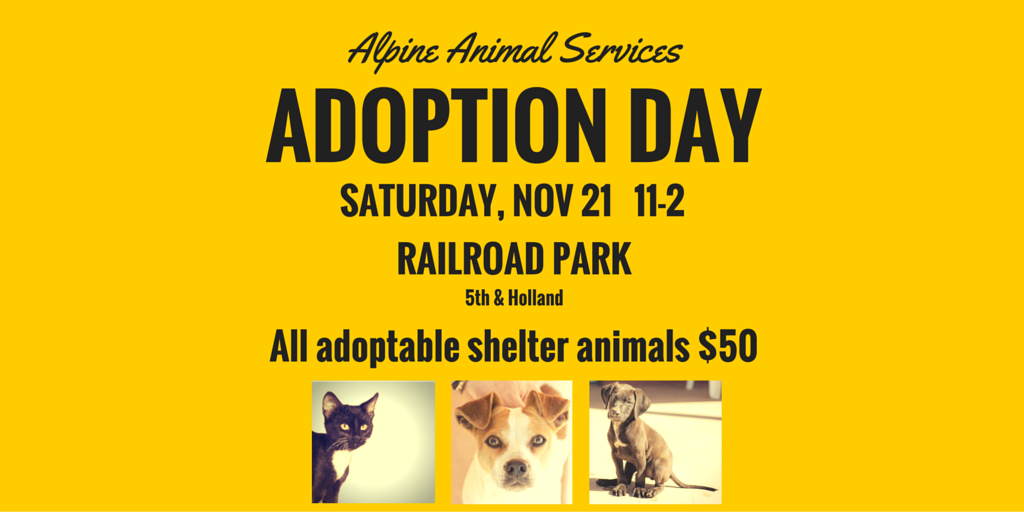 AlpineHumane's tweet image. Saturday is adoption day! All shelter animals 1/2 price. Holland &amp;amp; 5th in Alpine. Spread the word! #adoptdontshop