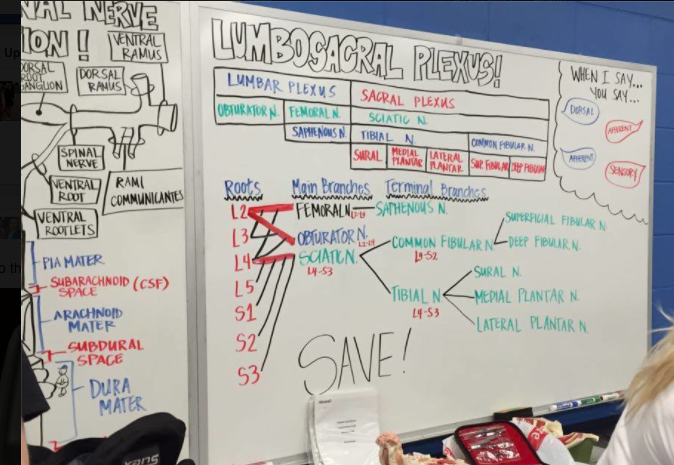 W_12PM_251LAB's tweet photo. Study up!! https://t.co/yVu8FbW8Ku