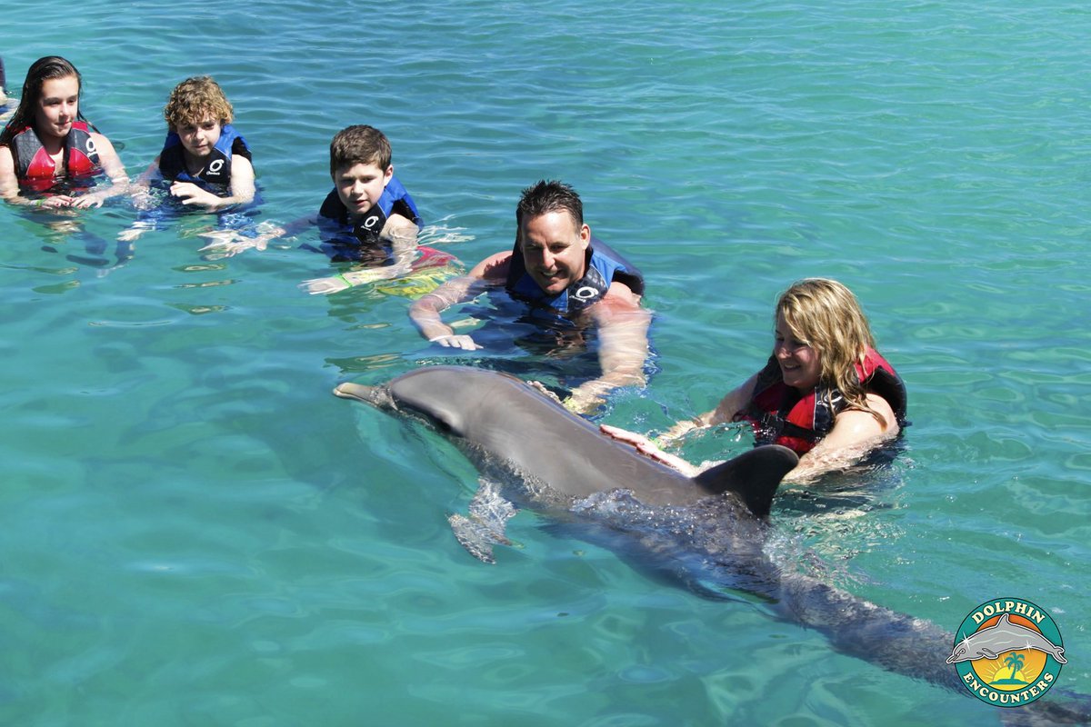 BlueLagnIslnd's tweet photo. Always a beautiful day to swim with a #dolphin! #ItsBetterInTheBahamas #Bahamas #vacation #paradise #fun https://t.co/57s0TJfANC