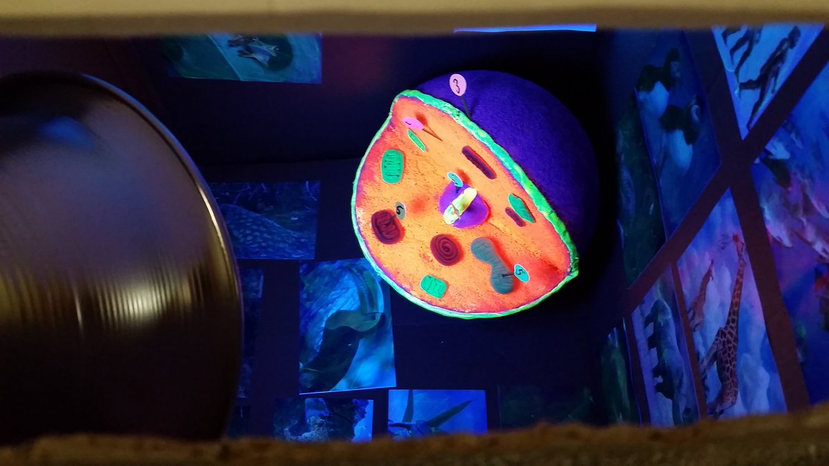 noblesm5's tweet photo. glow in the dark cell! #cellprojects #werock! @CSTHPES @HighPointElem1 @IBPYPlibroberts https://t.co/6Ce14fYTnv