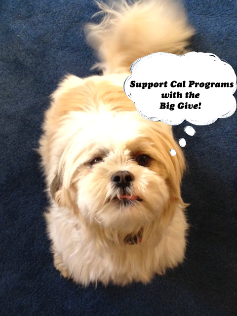 PiE Robotics (@pierobotics) on Twitter photo Listen to this puppy! Support UC Berkeley programs (like us)! 
bit.ly/1SIqxvf 
#CalBigGive #PiERobotics Listen to this puppy! Support UC Berkeley programs (like us)! 
bit.ly/1SIqxvf 
#CalBigGive #PiERobotics