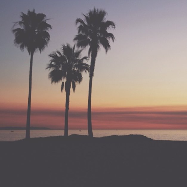 whtweloveabout's tweet photo. His passion for photography https://t.co/DtNTg7J68F