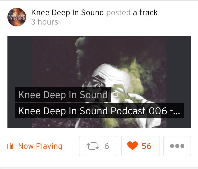 steffan_holden's tweet photo. 'Propa belters!' @MihalisSafras #kneedeepinsound #amihurringya https://t.co/iLLfPjbtNf