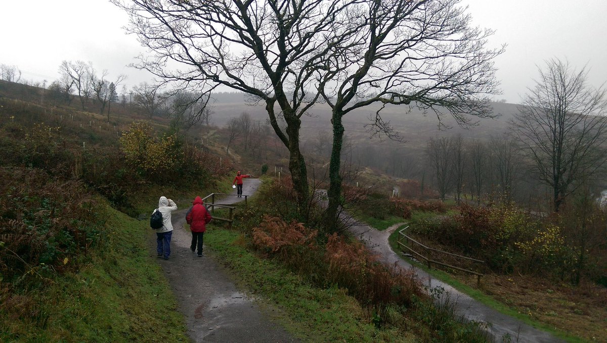 Rachel Hobday tweet media