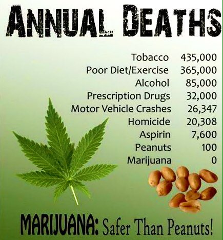 HerbanConnect's tweet photo. Looks like anti-cannabis people should be more concerned about peanuts!
#marijuana https://t.co/F4ydJVwD09