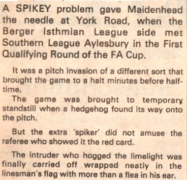 Tonight Maidenhead United v Port Vale. Same ground yesteryear offering my advice where to stick that hedgehog!