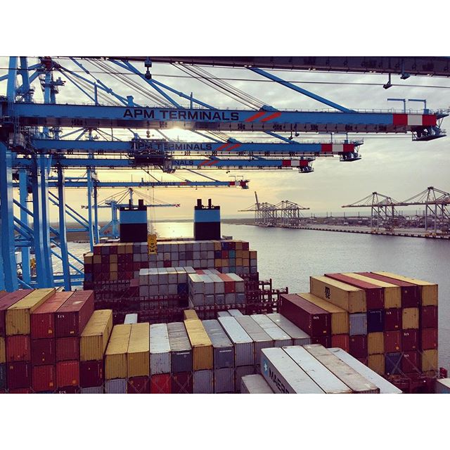 Maersk tweet picture