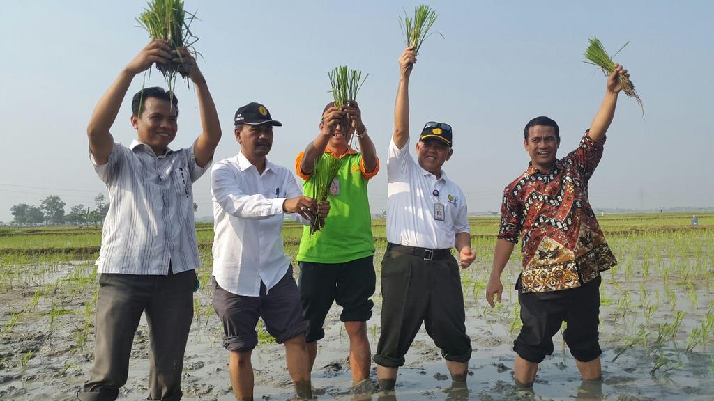 kementan's tweet photo. Mentan tanam padi di Ds. Ciberes, Patokbeusi, Subang https://t.co/4kLuSuLWEx