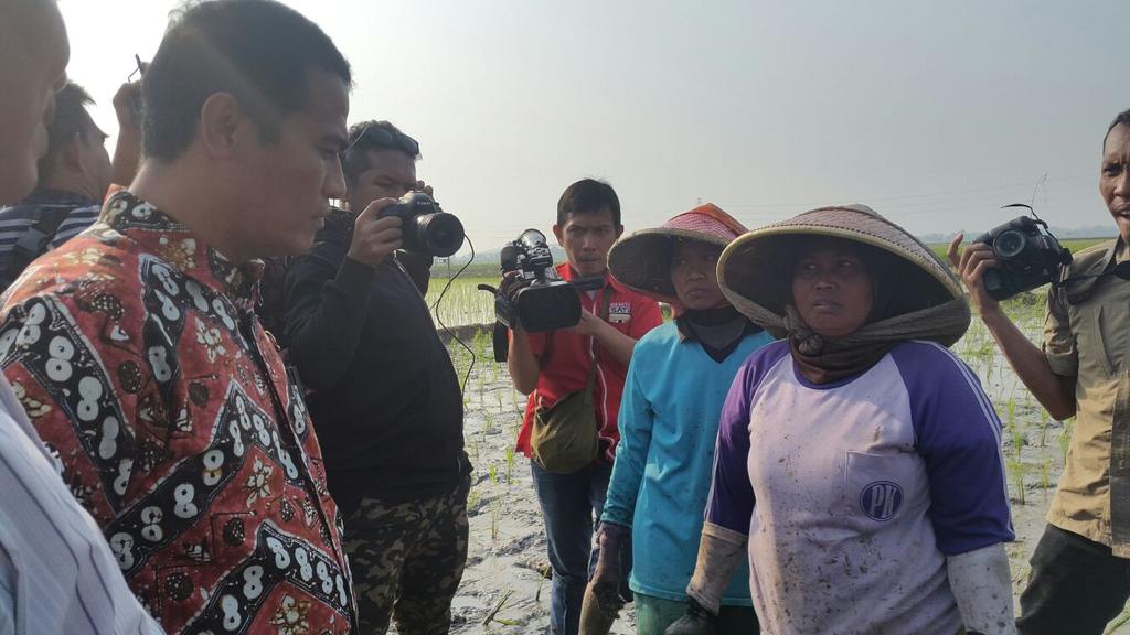 kementan's tweet photo. Mentan didampingi Dirjen Tanaman Pangan saat ini tanam padi di Ds. Ciberes, Patokbeusi, Subang https://t.co/EHAGzhrfd2