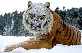 FundSponge's tweet image. FundSponge users have something big to look forward to this weekend!