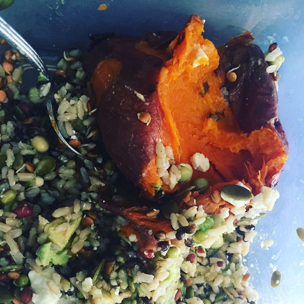 ryanriseup's tweet photo. better than Millie's Shoo Fly Pie #sweetpotato 
#fitnessfuel
#definteleynotpumkinspice https://t.co/a6nE6dKD7I https://t.co/XAVfSycXIE