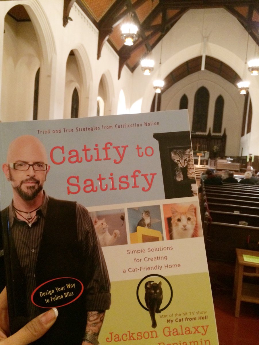 tabbyjamesco's tweet image. Can we #tbt to yesterday? We had so much fun @JacksonGalaxy's #CatifyToSatisfy event &amp;amp; even got our paws on a copy!🐾