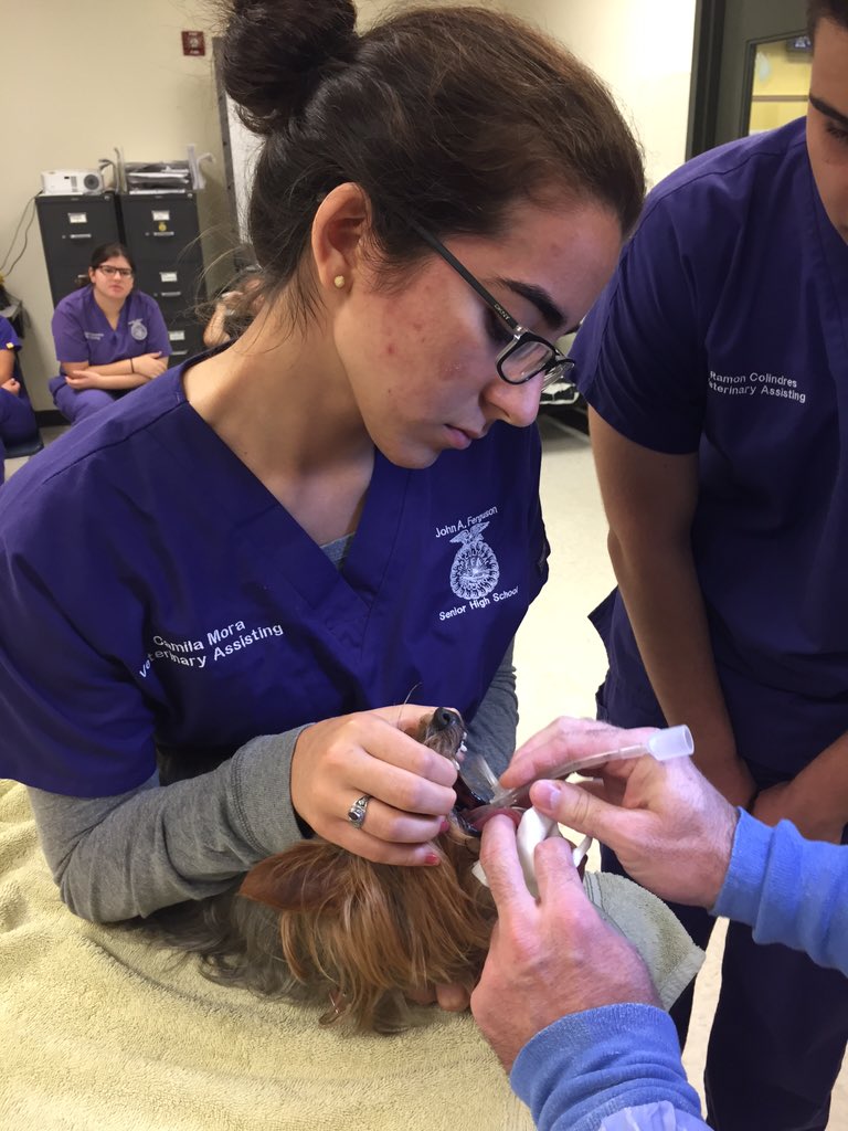 FergusonFFA's tweet image. Not your normal day in vet ....but AWESOME EXPERIENCE! #spayneuter #inclasslearning @FergusonSHS @CTEMiami