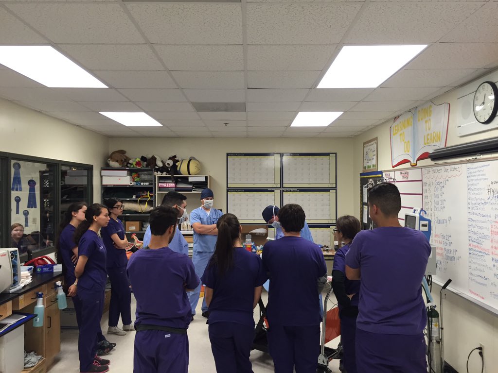 FergusonFFA's tweet image. Not your normal day in vet ....but AWESOME EXPERIENCE! #spayneuter #inclasslearning @FergusonSHS @CTEMiami