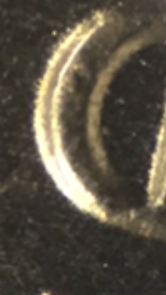 abbys_face's tweet image. So we were looking at quarters yesterday in biology.... we found a hybrid new breed of bacteria!