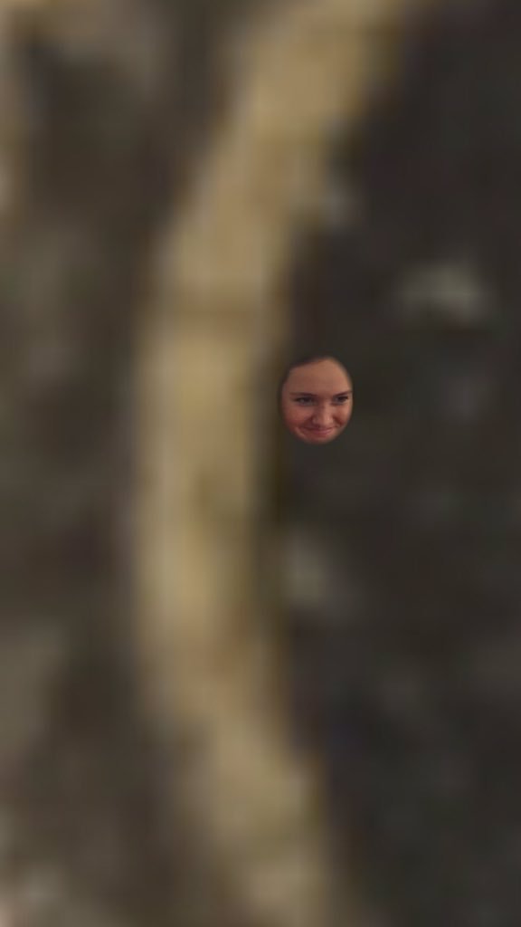 abbys_face's tweet image. So we were looking at quarters yesterday in biology.... we found a hybrid new breed of bacteria!