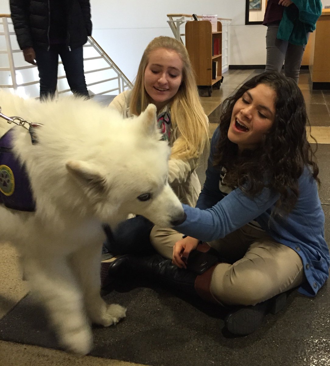 CUBoulder's tweet photo. Need a break from studying? @CUBLibraries bring you Bark Buddies! Full schedule: https://t.co/RWplmk2XWJ #CUBoulder https://t.co/ZQqDGDOykv