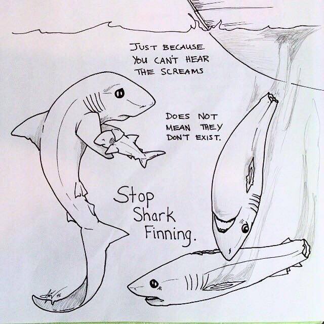 ClaudiaFerri13's tweet photo. #sharkwatch #SaveThemPlease #savethemall #FinsUp πππ
@rextyler2 @_AnimalAdvocate @sharkshepherd @Broken_Paws_SA https://t.co/uqcS3u3rR5
