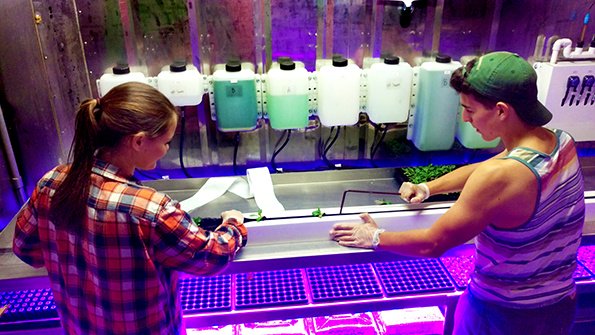 FreightFarms's tweet photo. Our @stonybrooku student freight farmers are making headlines! https://t.co/jcwwQKxxK4 @foodmanagement @sodexoUSA https://t.co/nlNtgtzy5S