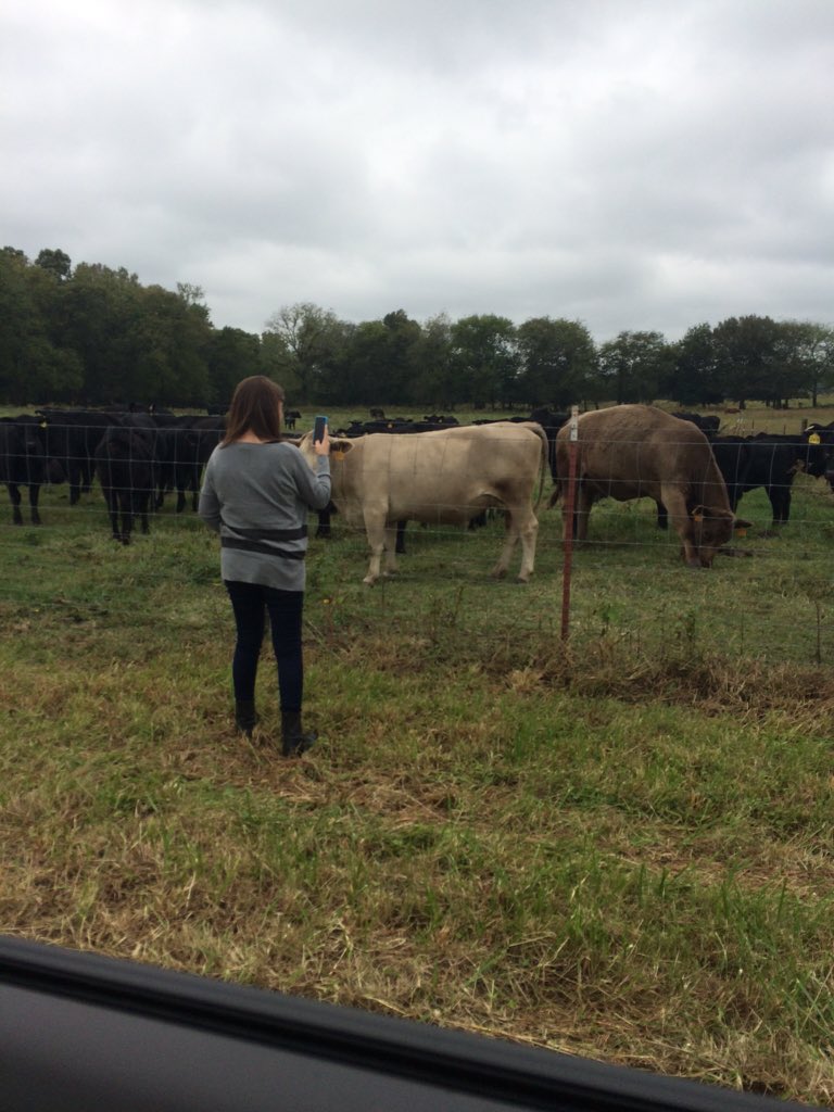 LisaGambale's tweet photo. HAPPY BIRTHDAY @laurenspencer6 😘🎂🎉 here's a photo that I hope you'll enjoy. It's better than any photo of us 🐮 https://t.co/7HpqLaN41G