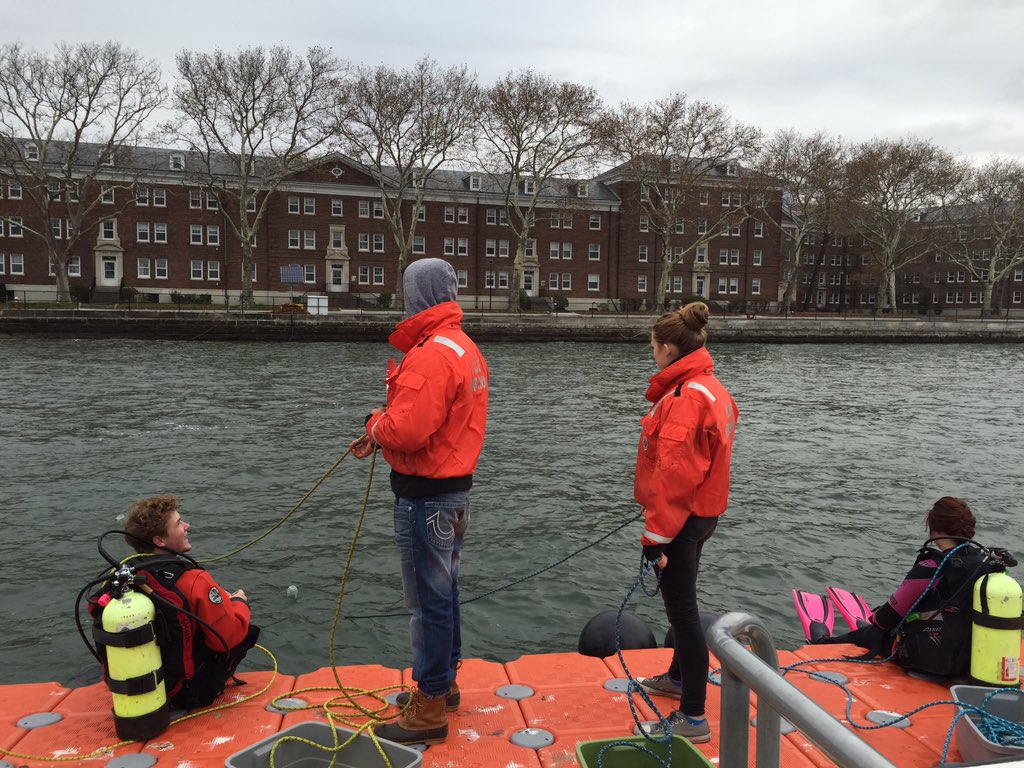 HarborDiving's tweet photo. Yesterday's senior dive off Governors Island!! https://t.co/fqIJuDcoUQ