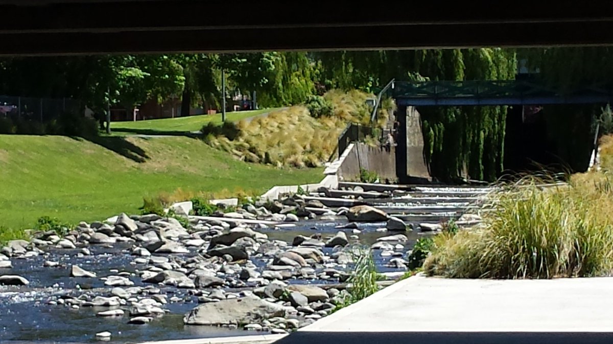 Brilliant Dunedin day at Otago Uni