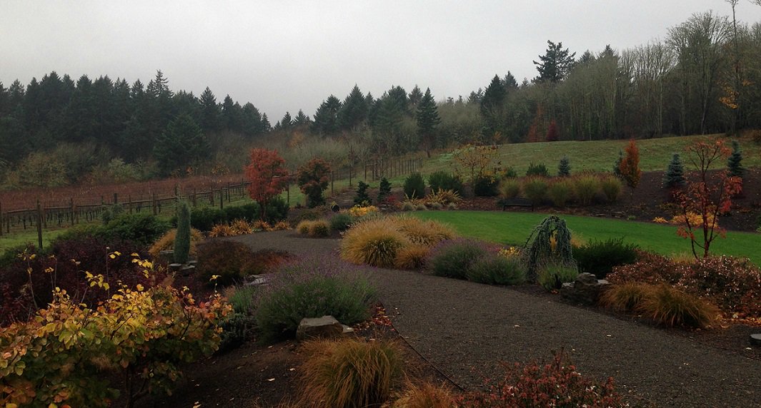 TravelSalem's tweet image. The view from @chemeketa's NW Wine Studies Center in #SalemOR.  #orwine #orwinetrav @ORFallFoliage