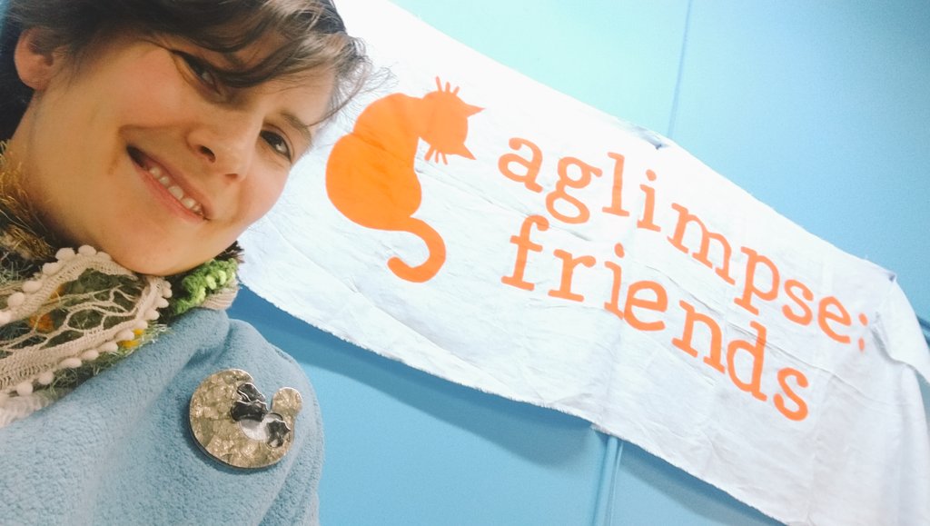 JennSandercock's tweet photo. #broochdiary Day 357: Mr P. Paterson, platypus of the world, approves of my #aglimpseFriends banner @indiesworkshop https://t.co/kDOY0IcVml