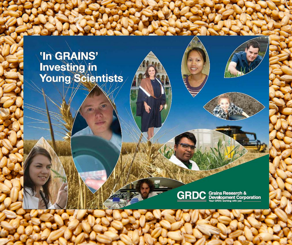GRDC tweet media