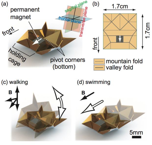 Neal68023332's tweet photo. Diagram of how the origami robot works! the more you learn! #selffolding https://t.co/Te2dJtyc9Z