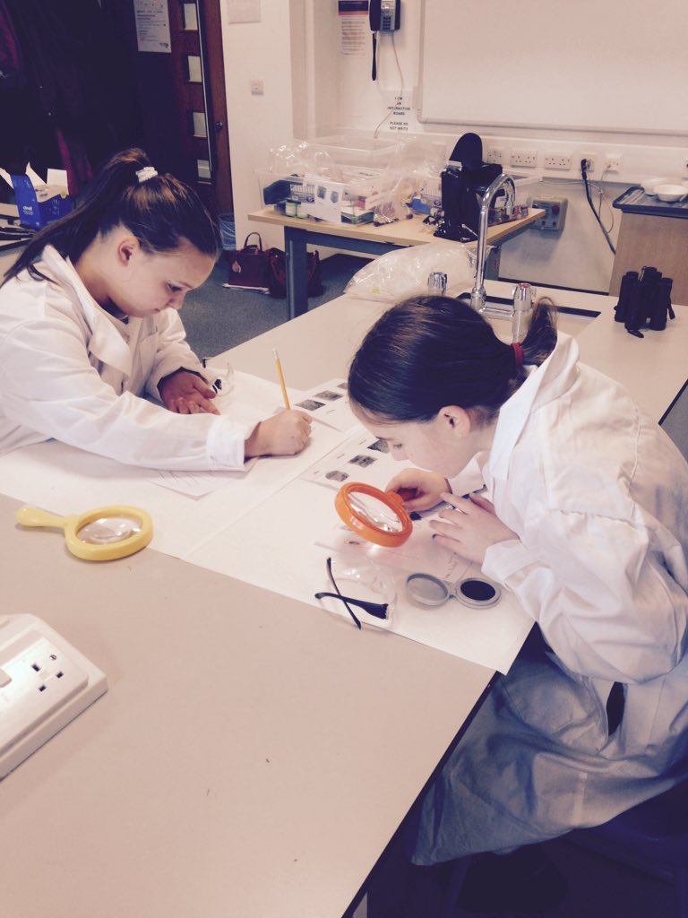 CorpusChristi_K's tweet photo. P7 #WeAreScientists #awesomeexperiments @Miss_JQuinn https://t.co/Yta3Er39z1